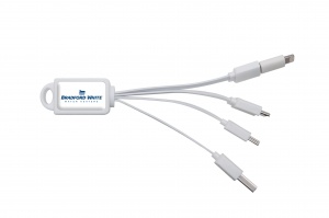 bradford_white_calimari